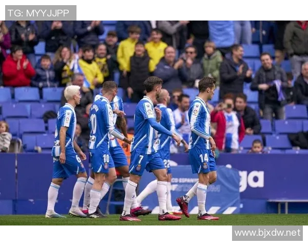 聚焦波黑现役足球球星解析他们在欧洲赛场上的影响力与未来发展